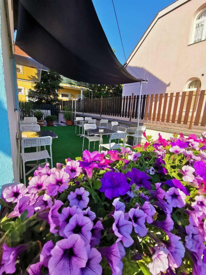 Balcsi Villa 블로톤퓌레드 외부 사진